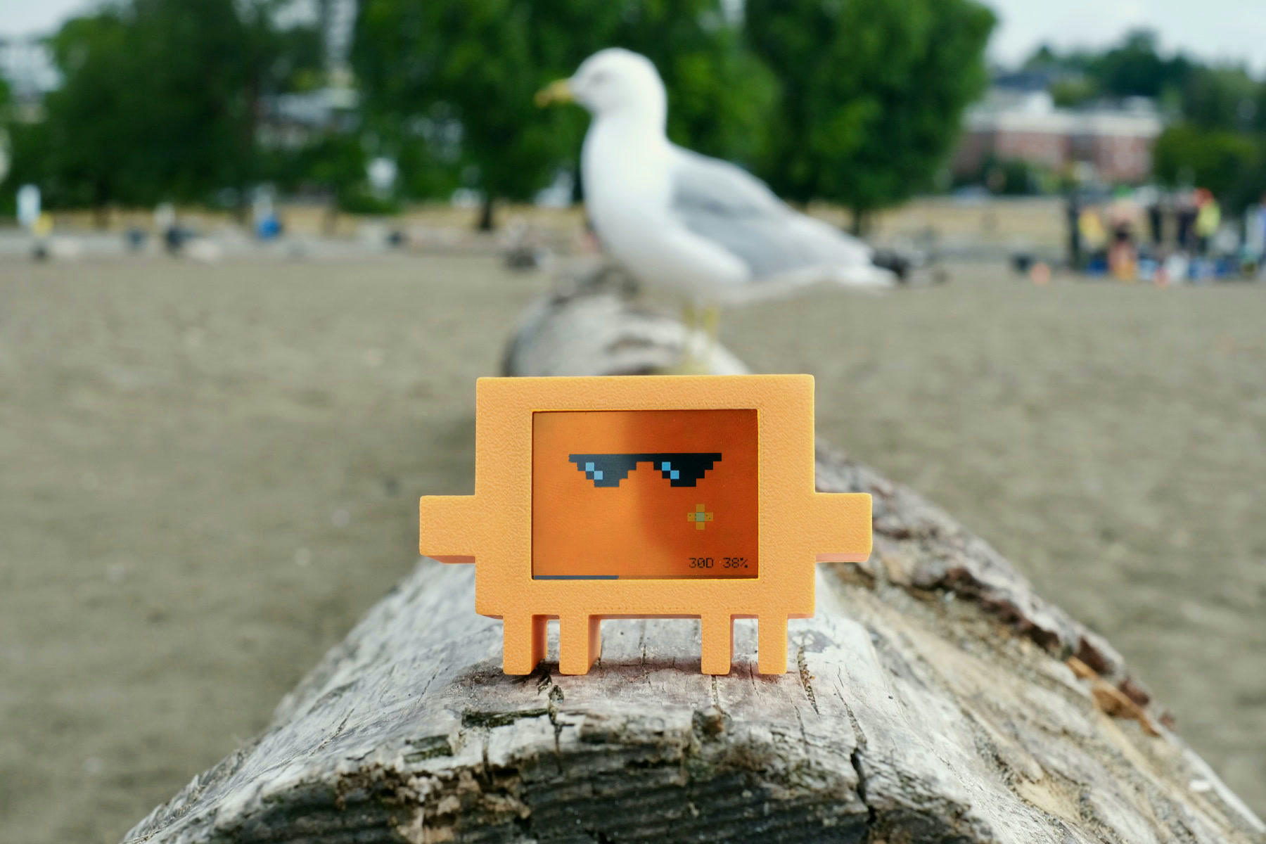 Vibe Buddy on a beach log with a seagull behind it